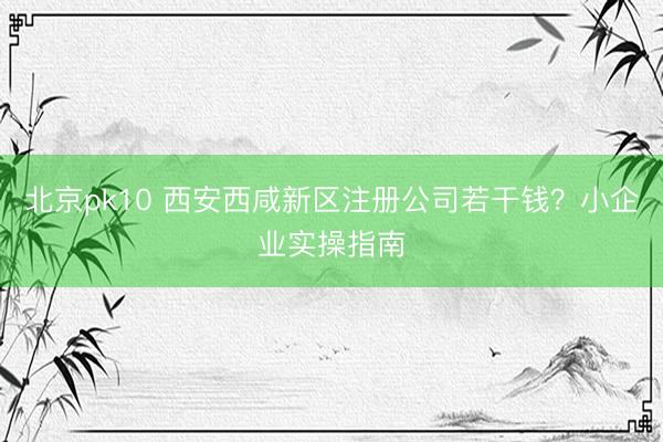 北京pk10 西安西咸新区注册公司若干钱?小企业实操指南