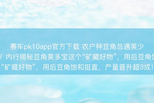 赛车pk10app官方下载 农户种豆角总遇荚少、豆粒不饱和勤勉奈何办?内行揭秘豆角荚多宝这个“矿藏好物”,用后豆角饱和挺直,产量晋升超3成!